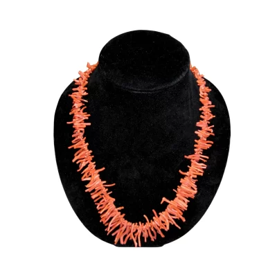 Coral delicas